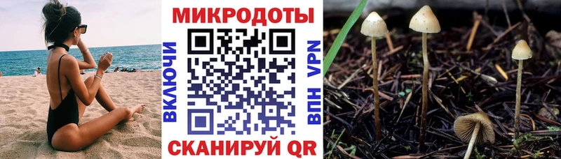 Псилоцибиновые грибы мицелий  Емва 